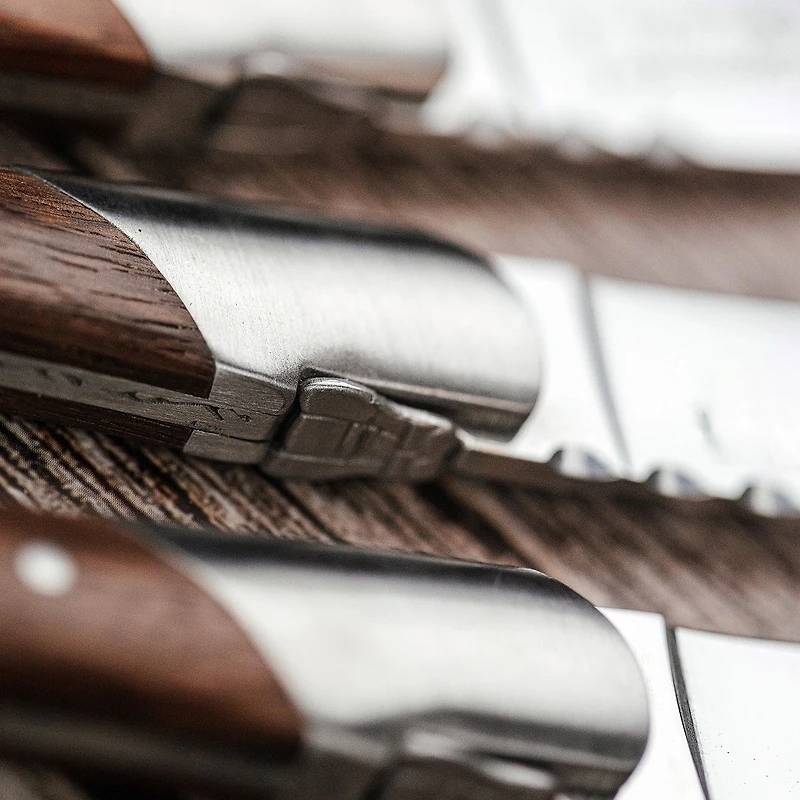 Set of 6 Laguiole Du Monde Steak Knives