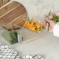 Oggi Storage Bin 2 pieces with Handle - 29.5 x 12 x 10.8cm