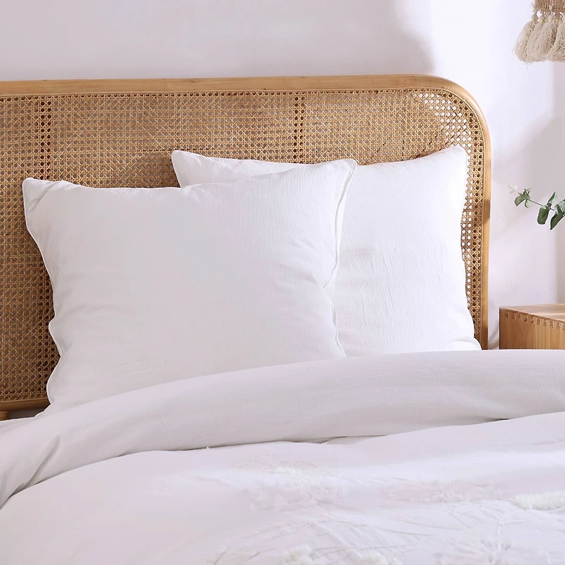 Daisy Euro Sham