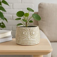Ceramic Owl Planter - Medium  