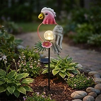 Lampe solaire DEL - Perroquet