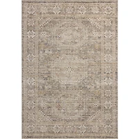 Chris Loves Julia x Loloi Ida Rug - Taupe Multi
