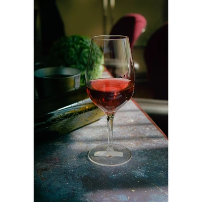 Set of 6 Universal Tasting Glasses by VinoLife