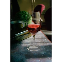 Set of 6 Universal Tasting Glasses by VinoLife