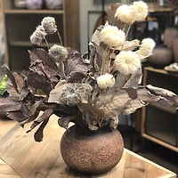 Faux Dried Cream Pods 11x 3"x 45