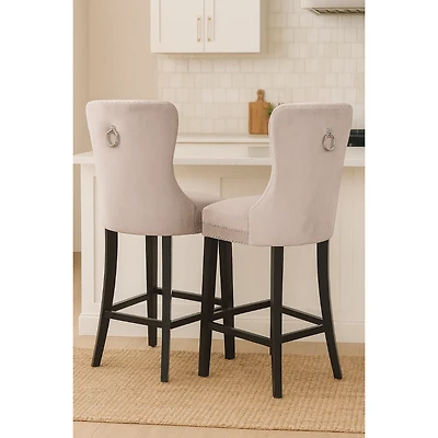 Set of 2 Arapoosh Counter Stools