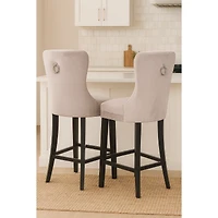 Set of 2 Arapoosh Counter Stools