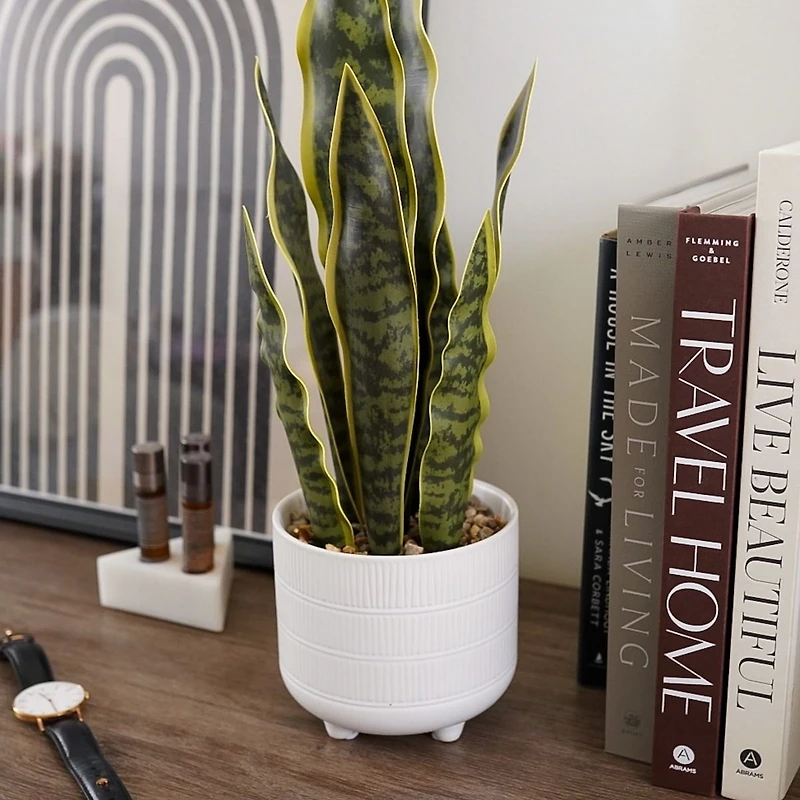 Rivera Plante Serpent