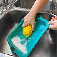 Gourmet OMG! Brush and Sponge - Pineapple
