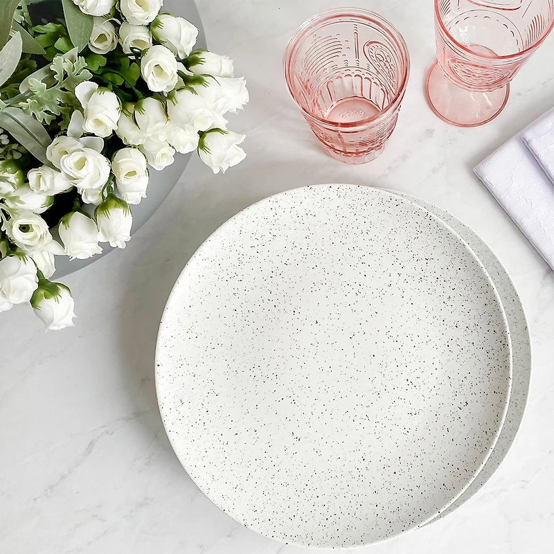 Caviar Speckle Plate by Maxwell & Williams (27 cm)