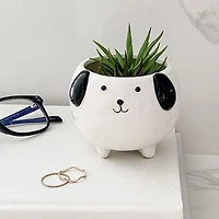Cache-pot chien en céramique