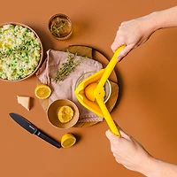 Dreamfarm Flucier Lemon Squeezer