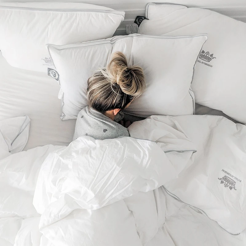 Oreiller 100% duvet blanc européen Royal Sovereign