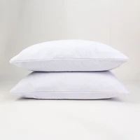 Luxury Plush Set of 2 Pillow Protectors by HealthGuard