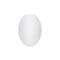 Marion Framless Oval Mirror