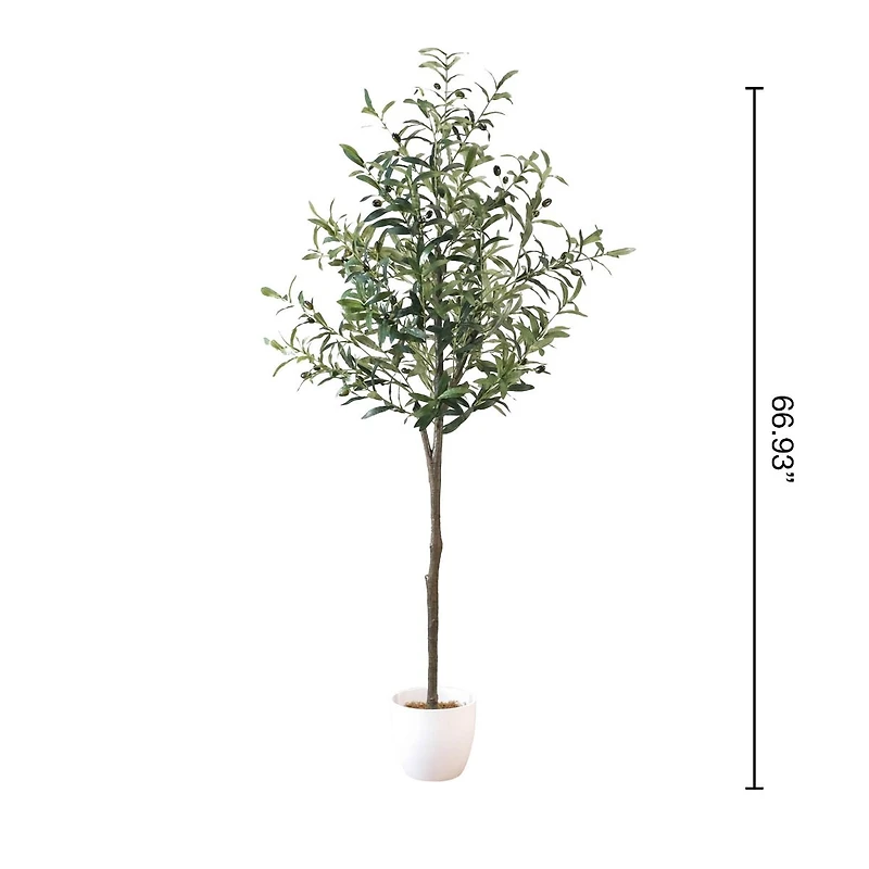 Kalamata Olive Tree by Haute Deco