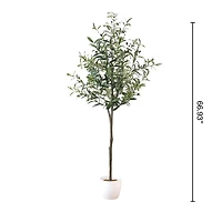Kalamata Olive Tree by Haute Deco