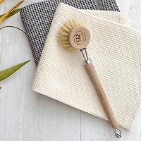 Tampico Fiber Dish Brush