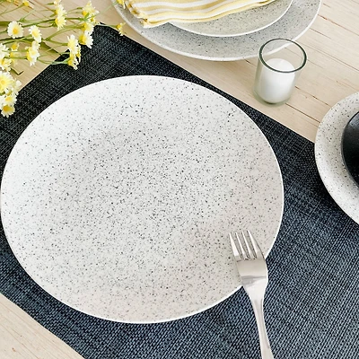Caviar Speckle Plate by Maxwell & Williams (27 cm)