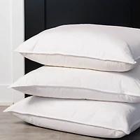 Oreiller en plumes et duvet Double Comfort