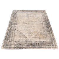 Raina Dark Grey, Ivory Rug