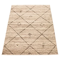 Caby Grey/Brown Rug