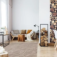 Danica Taupe Rug