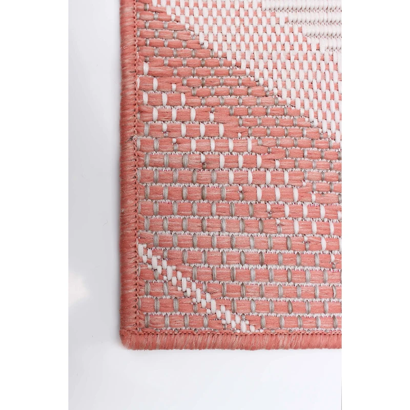 Gardenia Modern Indoor/ Outdoor Coral Rug