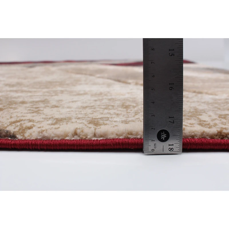 Kimmy Burgundy Rug