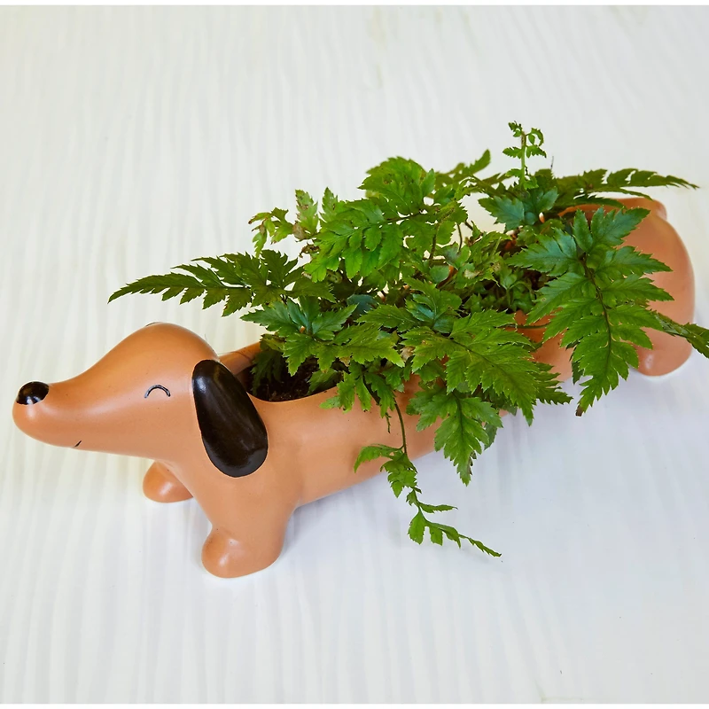 Cache-pot teckel « Daisy »