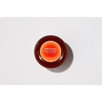 Bellowater Discovery Pack