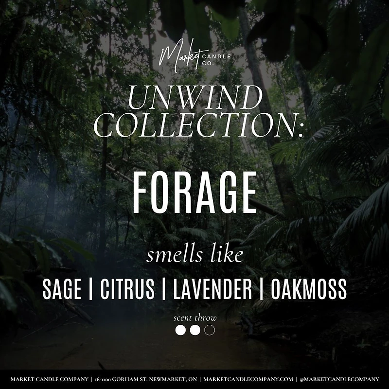 Forage candle and reed - Duo