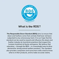 Oreiller 100% duvet blanc européen Royal Sovereign