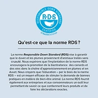 Oreiller 100% duvet blanc européen Royal Sovereign