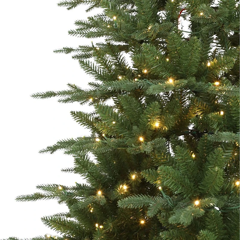 Jasper Elite Fraser Fir with LED - 7.5'