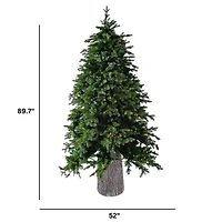 Sapin «Jasper Elite Fraser» avec DEL - 7,5 pi