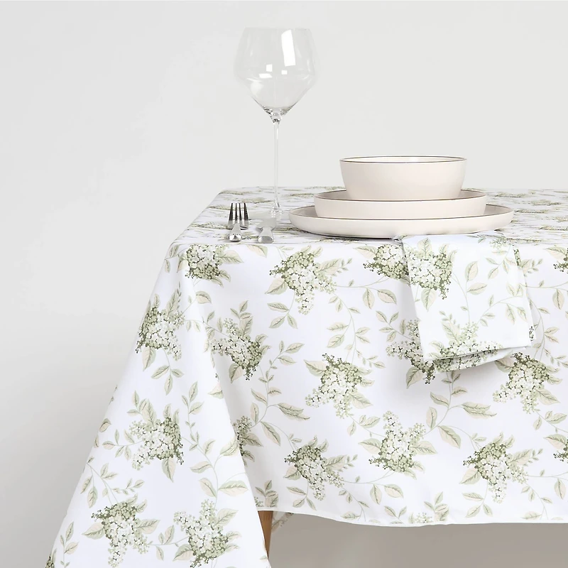 Portland Nappe