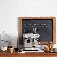 Breville Barista Express™  Espresso & Cappuccino Machine - Silver