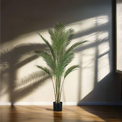Oasis Palm Tree