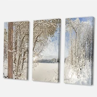 Lake in Winter Woods - 3 Canvas Wall Art