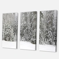 Foggy Winter Forest Panorama Canvas Wall Art