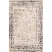 Raina Dark Grey, Ivory Rug