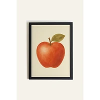 Oleka Pomme rouge Framed Canvas Wall Art - Black Wood Frame