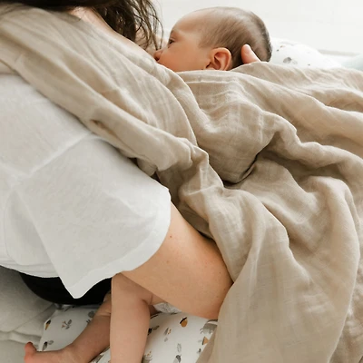 Bamboo Nursing Pillow - Squirrels