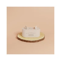 Morphée Morphée pour adulte - Flow