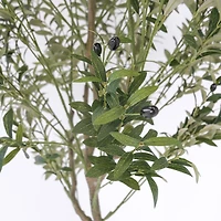 Olive Tree by Haute Deco - 83"