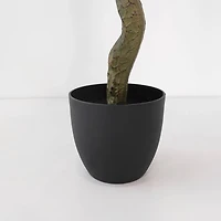 Olive Tree by Haute Deco - 83"