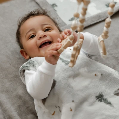 Plush Sleep Bag , Bears - 18 to 36m