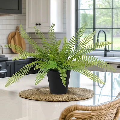 Sword Fern Faux Plant in Pot
