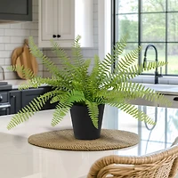 Sword Fern Faux Plant in Pot